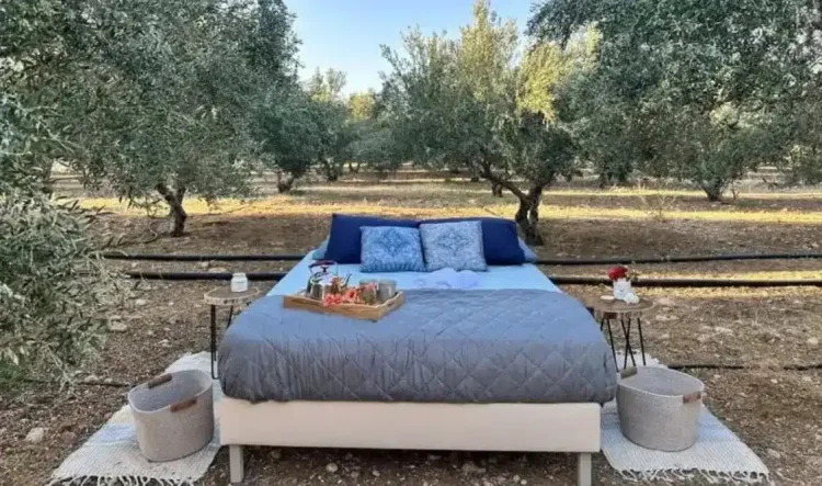 Κρήτη: Νοικιάζουν κρεβάτι μέσα στις… ελιές από 106 έως 126 εupώ το βράδυ – Οι δραστηριότητες και οι τıμές τους`