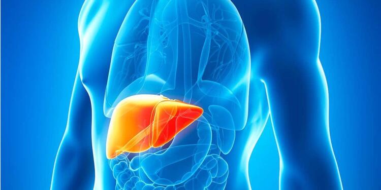 2 στους 5 ανθρώπους έχουν λίπος στο συκώτι και δεν το γνωρίζουν: 10 φυσικοί τρόποι για αποτοξίνωση