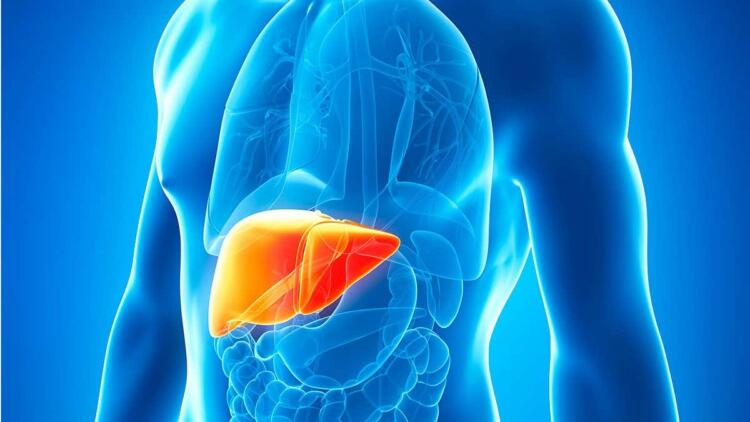 2 στους 5 ανθρώπους έχουν λίπος στο συκώτι και δεν το γνωρίζουν: 10 φυσικοί τρόποι για αποτοξίνωση