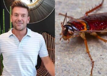 Κατσαρίδες «γιοκ» από τον Σπύρο Σούλη: Αυτό το φυσικό κόλπο υπόσχεται να τις κρατήσει έξω από το σπίτι σας!