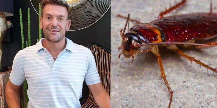 Κατσαρίδες «γιοκ» από τον Σπύρο Σούλη: Αυτό το φυσικό κόλπο υπόσχεται να τις κρατήσει έξω από το σπίτι σας!