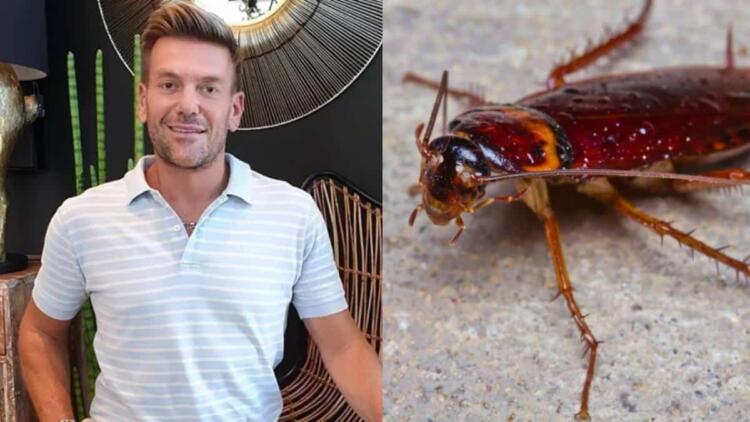 Κατσαρίδες «γιοκ» από τον Σπύρο Σούλη: Αυτό το φυσικό κόλπο υπόσχεται να τις κρατήσει έξω από το σπίτι σας!