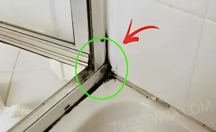 Ο πιο γρήγορος τρόπος για να απαλλαγείτε από τη μούχλα στην σιλικόνη του ντους