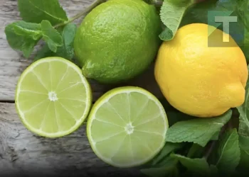Πώς να διατηρήσετε τα λεμόνια φρέσκα για μεγάλο χρονικό διάστημα