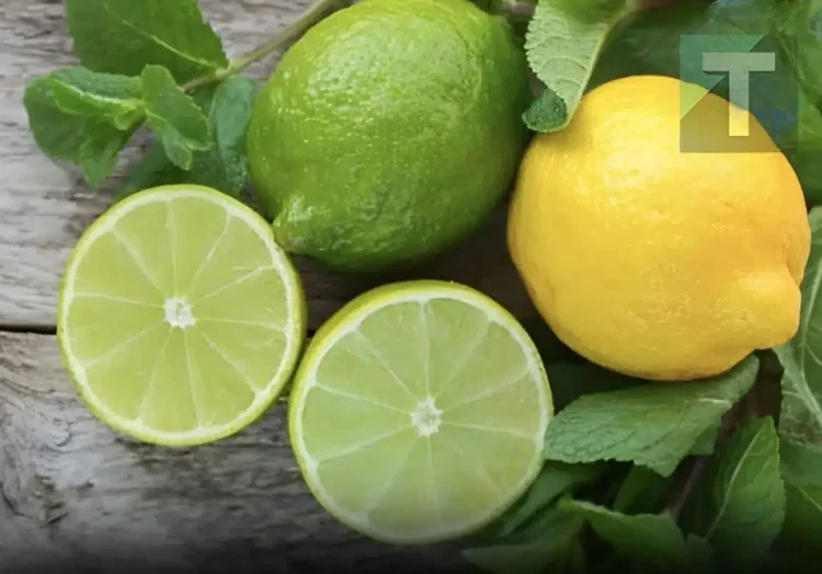 Πώς να διατηρήσετε τα λεμόνια φρέσκα για μεγάλο χρονικό διάστημα