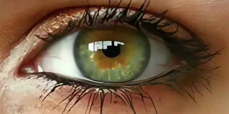 Οι άνθρωποι με πράσινα μάτια είναι ξεχωριστοί για αυτούς τους λόγους…