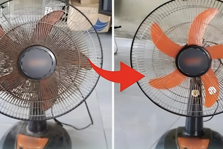 Πώς να καθαρίσετε έναν ηλεκτρικό ανεμιστήρα χωρίς να αφαιρέσετε το προστατευτικό: Παίρνει μόνο λίγα λεπτά για να τον καθαρίσετε