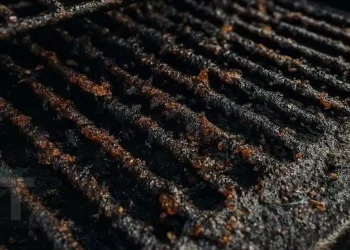 Η γιαγιά μου μού έμαθε αυτό το κóλπο για να ξεφορτωθώ τα υπολείμματα  βρωμιάς από την ψησταριά σε 4 λεπτά με 0 κόπο. Δείτε πώς λειτουργεί