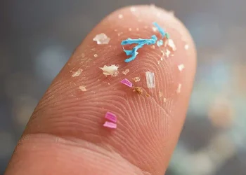 Γιατρός καταγράφει τα 9 τρόφιμα στο σουπερμάρκετ που περιέχουν τα περισσότερα μικροπλαστικά