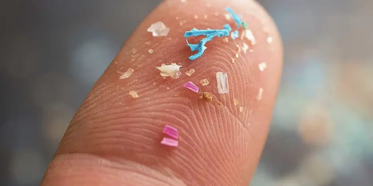 Γιατρός καταγράφει τα 9 τρόφιμα στο σουπερμάρκετ που περιέχουν τα περισσότερα μικροπλαστικά