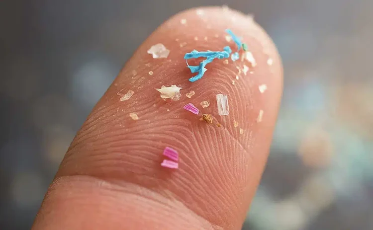 Γιατρός καταγράφει τα 9 τρόφιμα στο σουπερμάρκετ που περιέχουν τα περισσότερα μικροπλαστικά