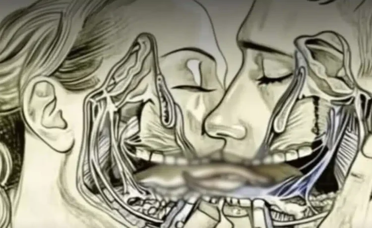 Αυτό συμβαίνει στην πραγματικότητα όταν φιλιόμαστε