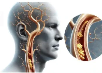 1 βιταμίνη σταματά τη συσσώρευση ασβεστίου στις αρτηρίες και την καρδιά