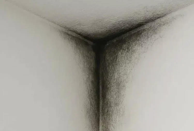 Aν οι τοίχοι σας μαυρίζουν σε μια γωνία, δεν είναι τυχαίο: Mάθετε τι σημαίνει πραγματικά και πώς να το διορθώσετε