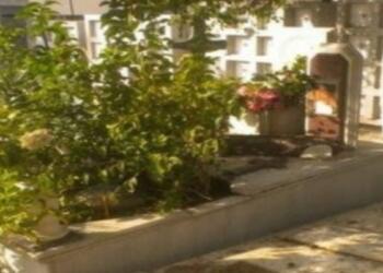 Αλίκη Βουγιουκλάκη: Θυμάστε τις παραμελημένες εικόνες από τον τάφο της; Δείτε πως τον έχουν περιποιηθεί πλέον! (photos)