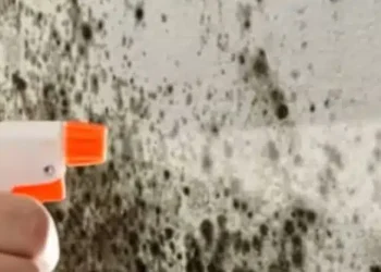 Πώς να αφαιρέσετε την υγρασία από τους τοίχους ώστε να μην επιστρέψει ποτέ