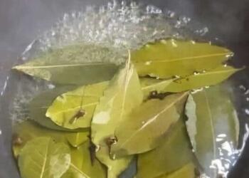 Τώρα την πολλή ζέστη, βάλτε αυτό μέσα στο σπίτι σας και δεν πρόκειται να δείτε ξανά μύγα, κουνούπι και κατσαρίδα