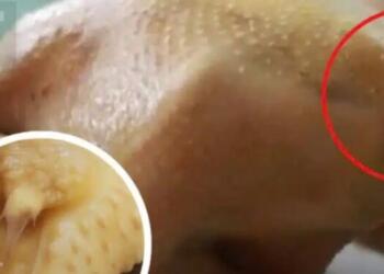 4 μέρη του κοτόπουλου που πρέπει να αποφεύγετε που πολλοί άνθρωποι εξακολουθούν να τρώνε!