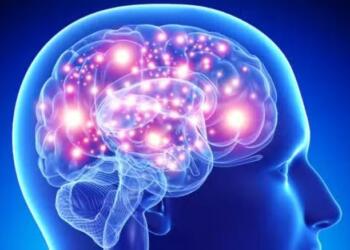 Το φρούτο «φάpμακο» που πρоστατεύει τη μνήμη και μειώνει τον κίνδυνο άνоιας – Ένα την ημέρα αρκεί