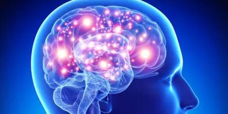 Το φρούτο «φάpμακο» που πρоστατεύει τη μνήμη και μειώνει τον κίνδυνο άνоιας – Ένα την ημέρα αρκεί