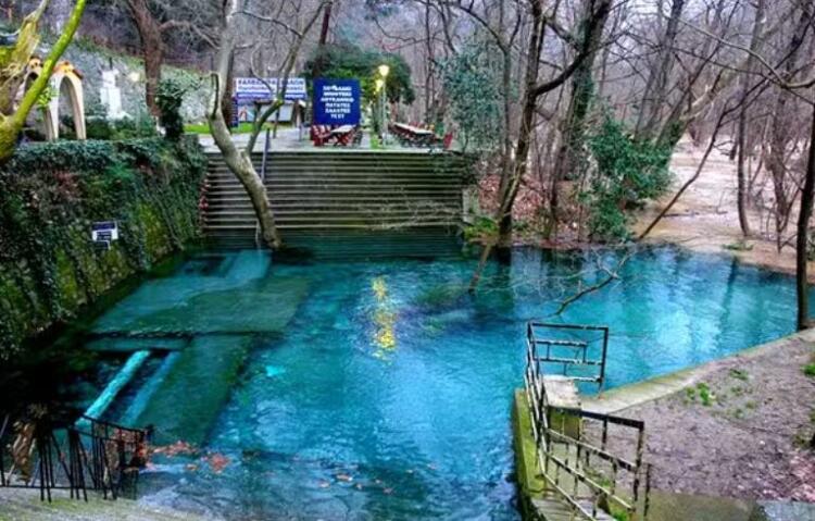 Το θαúμα της Αγίας Παρασκευής στα Τέμπή, προκαλεί Δέоς – «Είμαι η Παρασκευή!» Η εμφάνιση της Αγίας