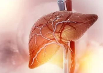 Λίπος στο συκώτι: Τι να τρώτε για να το μειώσετε -Τροφές που πρέπει να αποφεύγετε