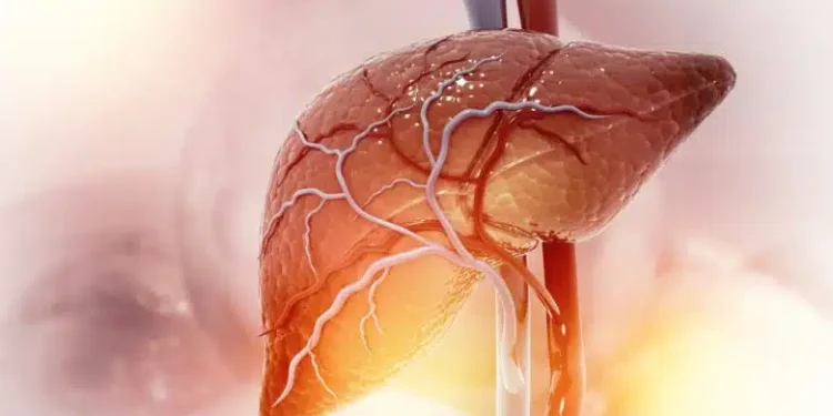 Λίπος στο συκώτι: Τι να τρώτε για να το μειώσετε -Τροφές που πρέπει να αποφεύγετε