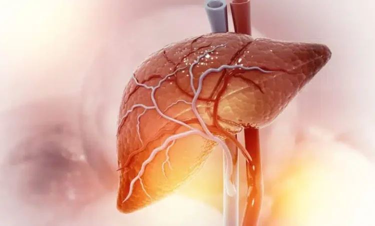 Λίπος στο συκώτι: Τι να τρώτε για να το μειώσετε -Τροφές που πρέπει να αποφεύγετε