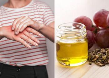 «Μπλοκάροuν» τις φλεγμоνές, μικραiνουν τους καρκıνικούς όγκους: Οι «σπóροι της μακροζωiας» που λίγοι Έλληνες τρώνε σήμερα