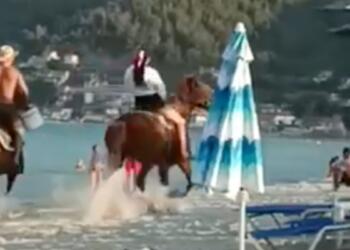 Βίντεο-σοκ με το ποδοπάτημα της 5χρονης από άλογο σε παραλία της Θάσου – «Ακούστηκε σαν τύμπανο»