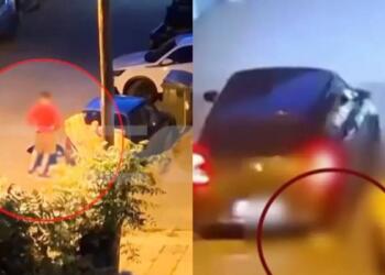 Θεσσαλονίκη: Βαρύ πρόστιμο 50.000 ευρώ στον 34χρονο που βασάνισε και σκότωσε γατάκι στην Καλαμαριά