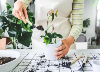 Αuτό είναι το πιο επικίνδυνο φυτό – Προκαλεί μέχρι και θάνaτο