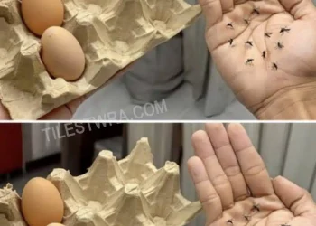 Σταματήστε να πετάτε τα κουτιά από τα αβγά – Το μυστικό για να διώχνετε τα κουνούπια χωρίς χημικά