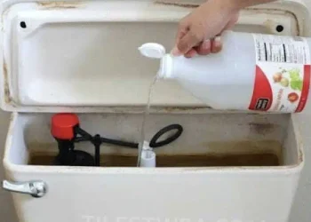 Ρίξτε ξύδι στο καζανάκι της τουαλέτας και θα εκπλαγείτε – Δεν μας τα λέει κανείς αυτά