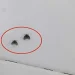 Εξαφανίστε τα μικρά μαύρα ζωύφια που εμφανίζονται στο μπάνιο με ένα πολύ απλό τρόπο
