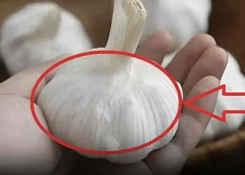 Ακόμα κι αν σας τα δώσουν δωρεάν, μην τα πάρετε αυτά τα σκόρδα