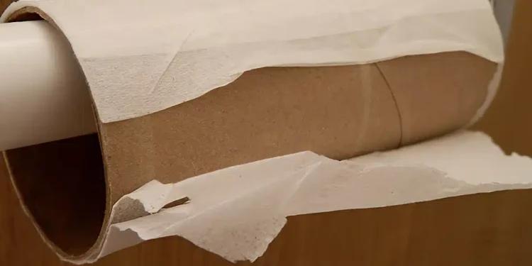 Τελειώνει η εποχή που θα χρησιμοποιούμε χαρτί υγείας; Να με τι θα αντικατασταθεί