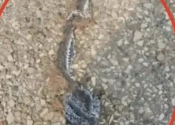 Αυτό που μπέρδεψα για σκουπίδια άλλαξε τα πάντα – Να τελικά τι ήταν και θέλω να γνωρίζετε