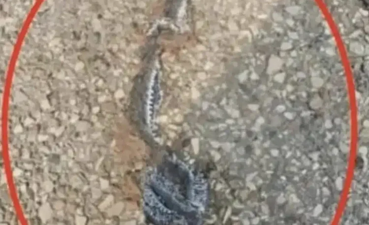 Αυτό που μπέρδεψα για σκουπίδια άλλαξε τα πάντα – Να τελικά τι ήταν και θέλω να γνωρίζετε