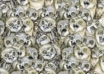 Μόνο άνθρωποι με όραση 20/20 μπορούν να βρουν την γάτα στην εικόνα