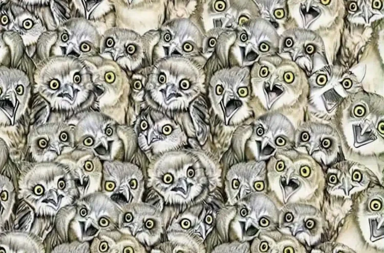 Μόνο άνθρωποι με όραση 20/20 μπορούν να βρουν την γάτα στην εικόνα