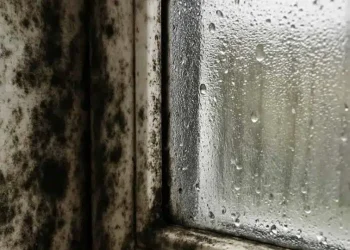 Η γιαγιά μου με έμαθε αυτό το κόλπο για να εξαφανίζω τη μούχλα σε 5 λεπτά με μηδενική προσπάθεια. Δείτε πώς λειτουργεί