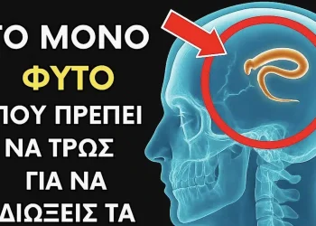 Μόνο 2 κουταλιές… Βοηθάει την αποβολή από τα σκουλήκια και τα παράσιτα από το σώμα σας