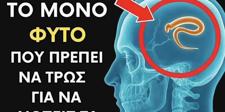 Μόνο 2 κουταλιές… Βοηθάει την αποβολή από τα σκουλήκια και τα παράσιτα από το σώμα σας