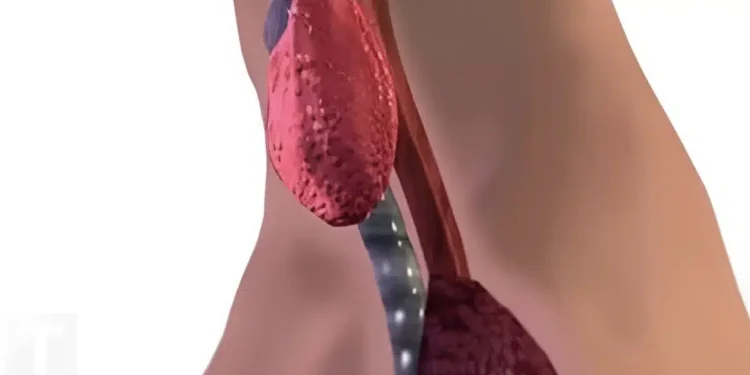 6 τύποι τροφών που επηρεάζουν αρνητικά τον θυρεοειδή σας