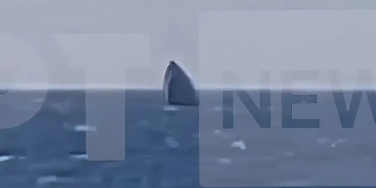 Λέσβος: Βύθιση σκάφους της Frontex ανοιχτά της Ανάξου – Σώοι οι έξι επιβαίνοντες