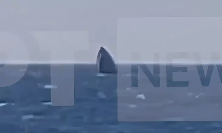 Λέσβος: Βύθιση σκάφους της Frontex ανοιχτά της Ανάξου – Σώοι οι έξι επιβαίνοντες