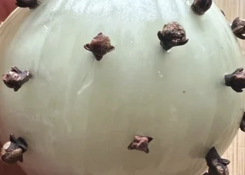 Γαρύφαλλα και κρεμμύδι: Μια διαχρονική παράδοση με σύγχρονα οφέλη