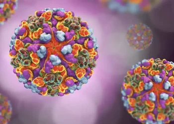 Παγκόσμια ανησυχία – Τι έιναι η νέα νόσος τσικουνγκούνια που εμφανίστηκε