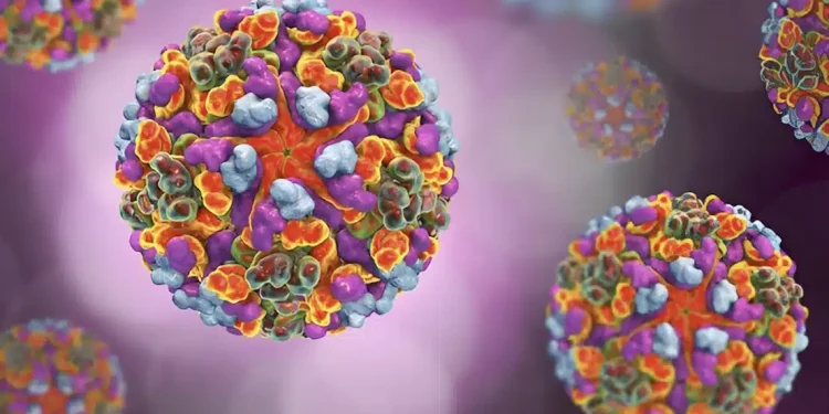 Παγκόσμια ανησυχία – Τι έιναι η νέα νόσος τσικουνγκούνια που εμφανίστηκε